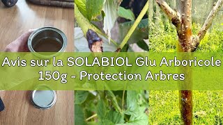 Avis Sur La Solabiol Glu Arboricole 150g  Protection Arbres Fruitiers  Anti Fourmis Pucerons Et C