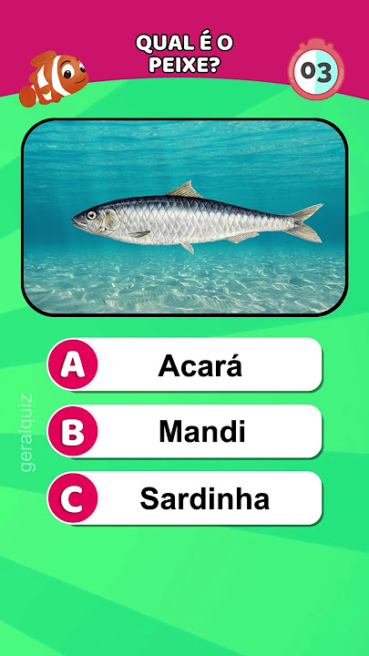 Qual e a bandeira certa? Quiz de bandeiras #quiz #bandeiras #bandeira