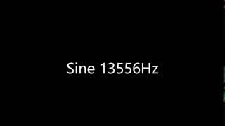 Sine 13556Hz Audio Only