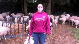 farmers apprentice entry Heather Fox