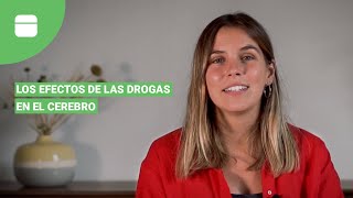 Drogas y cerebro: los efectos de las drogas en el cerebro