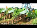 Peanut Harvesting Machine - How to Harvest Peanut in Farm - Modern Agriculture Technology