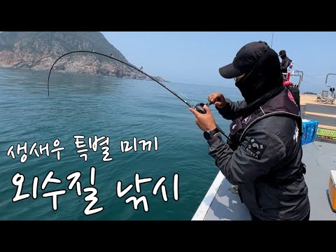 생새우 미끼로 <strong>가장비싼</strong> 횟감을 잡아서 먹어보자!