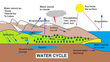 The Water Cycle Explained