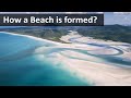 How a beach is formed | Geography terms