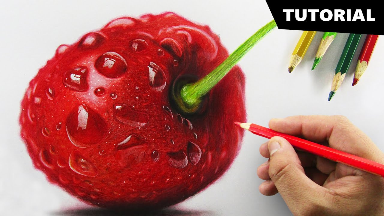 Drawing Cherry With Color Pencil | Tutorial For Beginners - Youtube