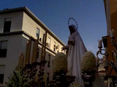 Real, Ilustre y Venerable Hermandad Sacramental de Nuestro Padre Jesús Nazareno de los Pasos en el Monte Calvario y María Santísima del Rocío Coronada