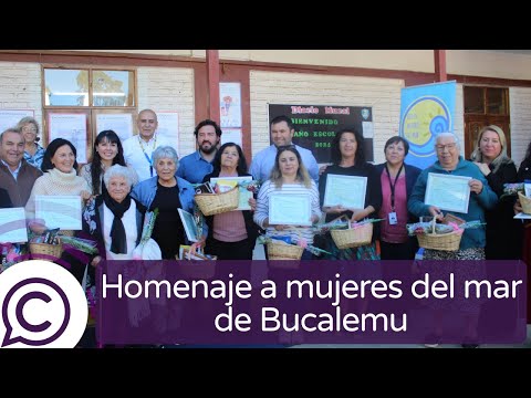 Trabajadoras del mar de Bucalemu fueron reconocidas