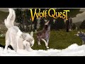 A Family of Young Hunters! 🐺❄️Wolf Quest: The Saga Begins #3 (Snowberry Pack)
