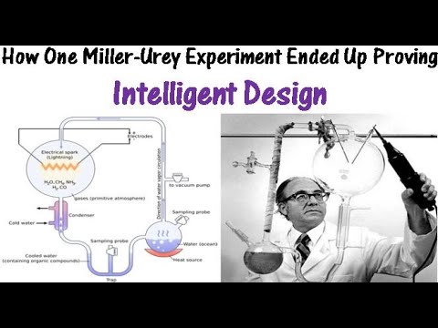 فيديو: ماذا أثبتت تجربة ميلر أوري؟