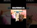 【猫ミーム】彼氏が特殊癖だった