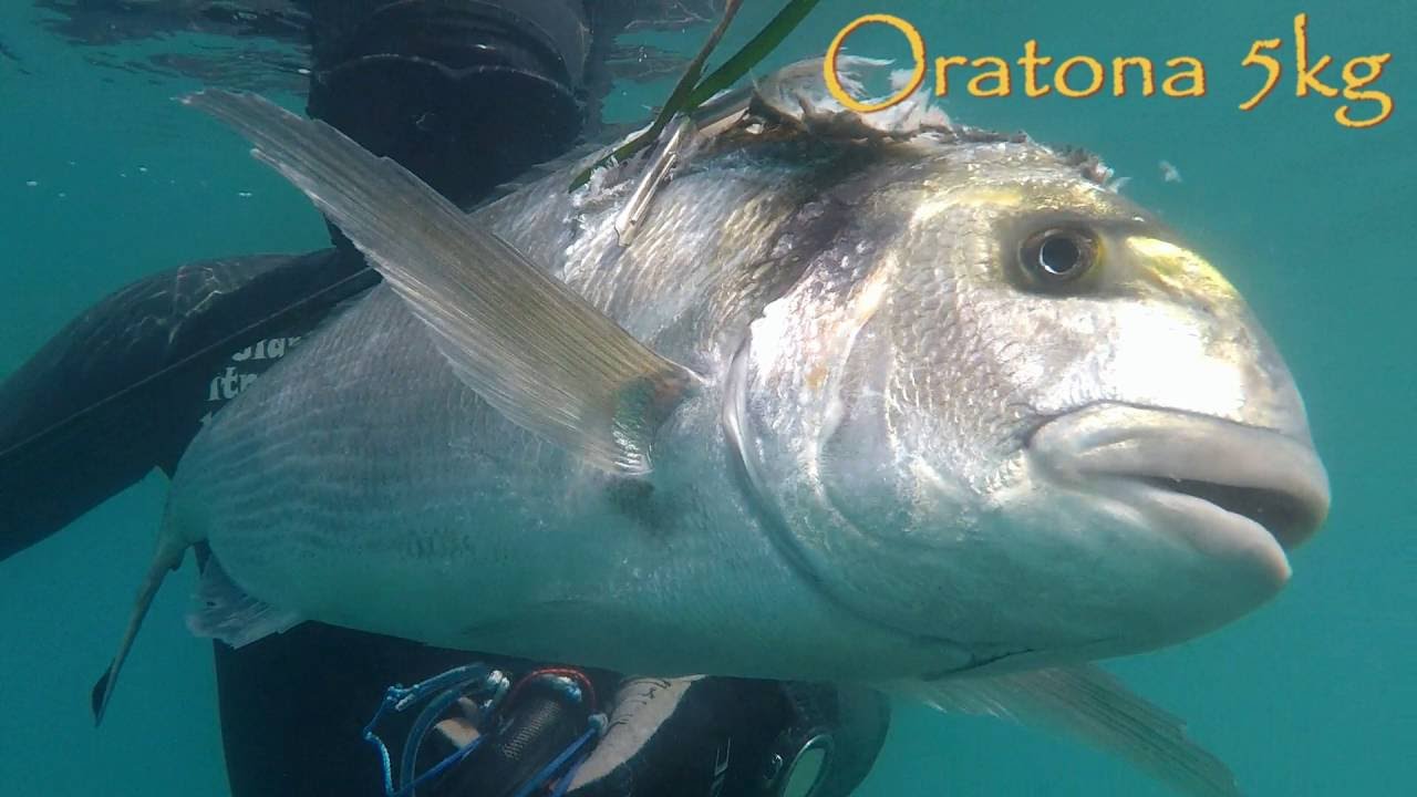 ORATONA XXL! pesca sub Gianni Ritrovato