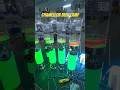 Chameleon Beer Lamp#Custom Non-standard LED#LED Lights#LED Strip Lights#LED Car Lights#LED Modules