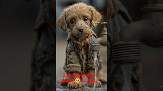 This puppy poor and hard work#animals #animalshorts