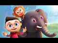 Hathi Raja Kahan Chale And more Hindi Nursery Rhymes | हाथी राजा कहाँ चले | Baby Rhymes & Kids Songs