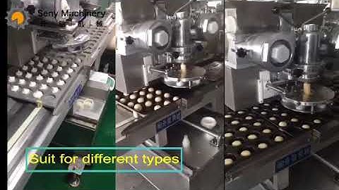 Seny multifunction encrusting tray-arranging Machine多功能全自动包排一体机