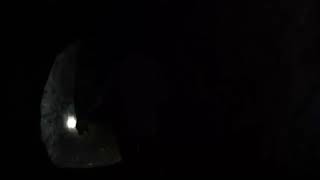 The Final Prayer ending scene [18+]