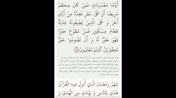 سوره بقره آیه۱۸۳با معنی گویا گوارای وجودتان #قرآن #قران_كريم #youtube#allah#quran_farsi#reelitfeelit