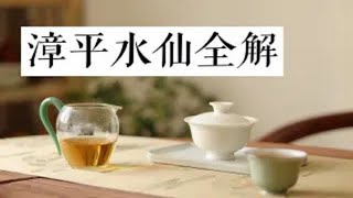 【清山茶事】小众又特别的茶漳平水仙全干货讲解