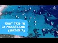 Arcipelago La Maddalena - Sardegna (Tour delle spiagge più belle in barca) [Drone Video]