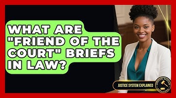 What Are "friend Of The Court" Briefs In Law? - Justice System Explained
