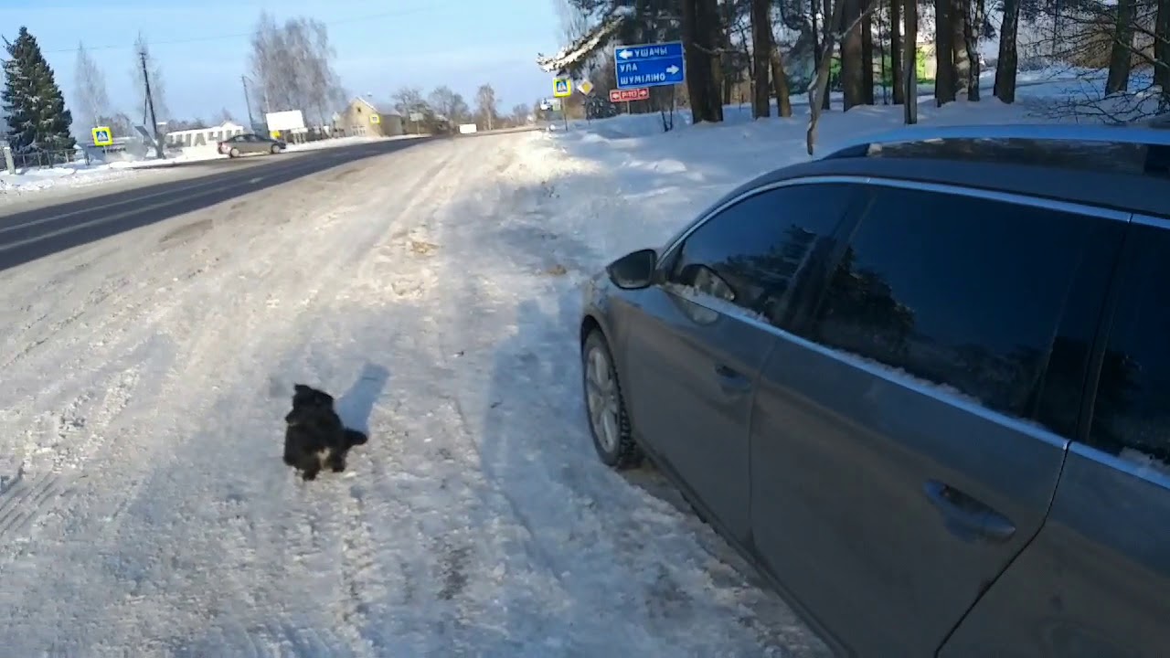 Полоцк минск на машине