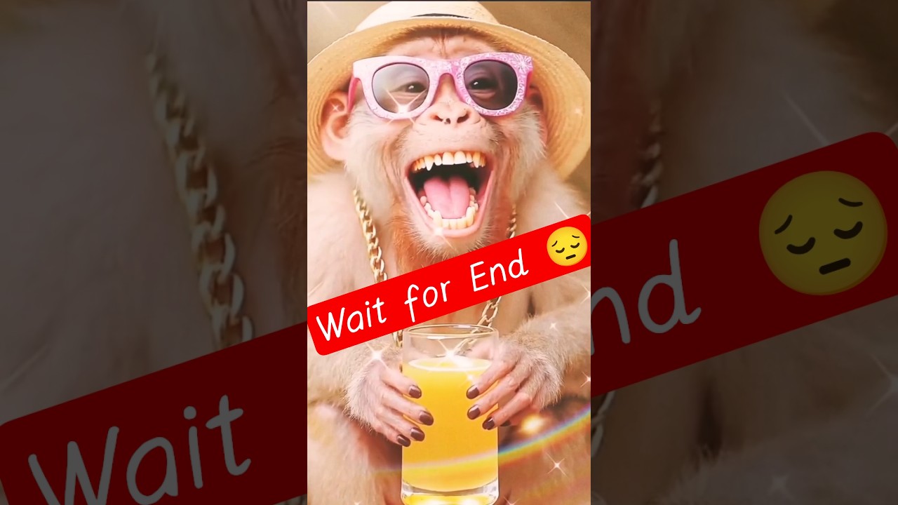 Monkey drink juice😍💪