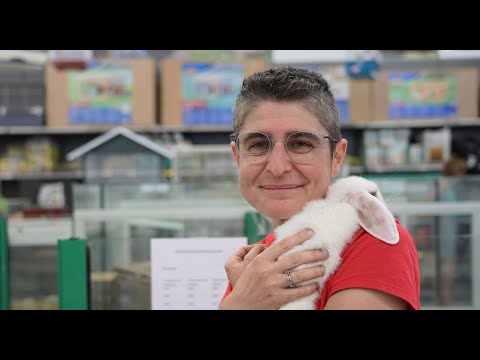 Miniature de la vidéo Vidéo Métier #8 : Cathy, vendeuse en animalerie