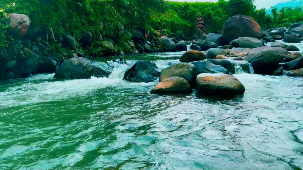 Nature’s Whisper – Calm Your Mind with Peaceful Sounds for Sleep and Relaxation