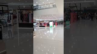 Inside Moa