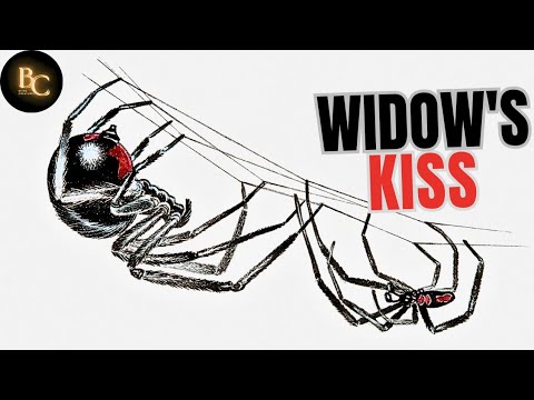 Do Black Widows Really Eat Their Mates? |Black Widow Spider