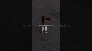 Moral Of The Story  Aahe  S  Aesthetic  English Song moralofthestory ashe shorts edit