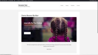 Beaver Builder, Genesis e Genesis Dambuster