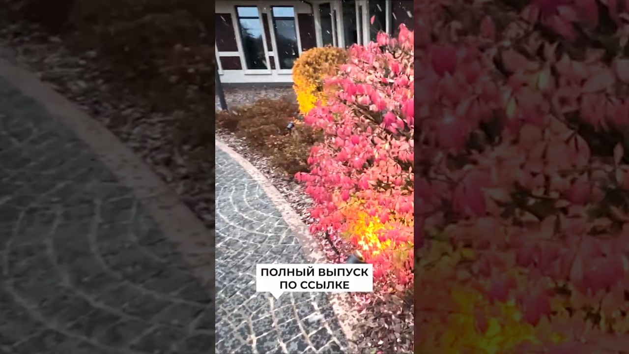 ССЫЛКА ⬆️ ЗАВИСТЬ ЛАНДШАФТНИКА