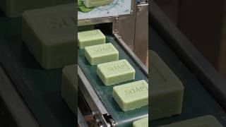 From Bottle Gourd to Soap? A Farmer's Amazing Innovation! 🌱🧼