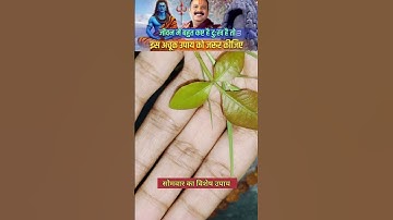 5 सोमवार का विशेष उपाय एक दूर्वा और एक बेलपत्र महादेव को समर्पित करे #pradeepmishrajidhankeupa #upay