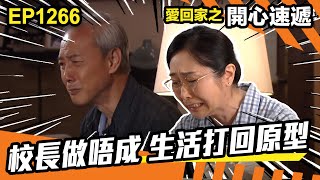 愛.回家之開心速遞 | 第1266集精華 | 校長做唔成 生活打回原型