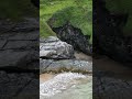 Ireland Short, Part 4 #ireland #muckross #drone #beach