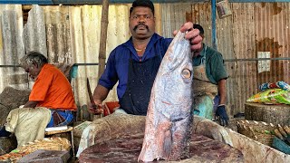 KASIMEDU 🔥 SPEED SELVAM | HUGE BARRACUDA FISH HEAD CUTTING VIDEO | 4K VIDEO | KM FISH CUTTING