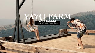 Yayo Farm, Doi Chang, Chiang Rai
