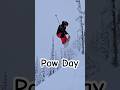 Comment if you want to come next pow day…