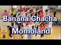 Momoland BANANA CHACHA PopDance Dance Fitness Momoland BANANA CHACHA PopDance Dance Fitness