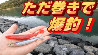 今回特別カットのみフィッシュテール1500 Valleyhill｜バレーヒルの公式サイトです。当サイトは釣り用品を扱う