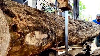 Melihat Proses Penggergajian Kayu Jati Raksasa\