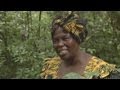 Wangari Maathai Tribute Film