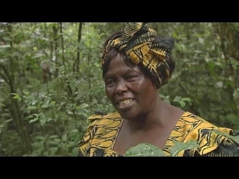 Video: Wangari maathai waliibadilishaje dunia?