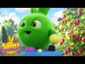 SUNNY BUNNIES - HOPPER PLAYS VIDEO GAMES | Season 7 COMPILATION | Cartoons for Kids