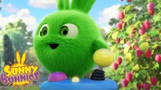SUNNY BUNNIES - NAGLALARO NG VIDEO GAME | Season 7 COMPILATION | Mga Cartoon para sa mga Bata screenshot 4