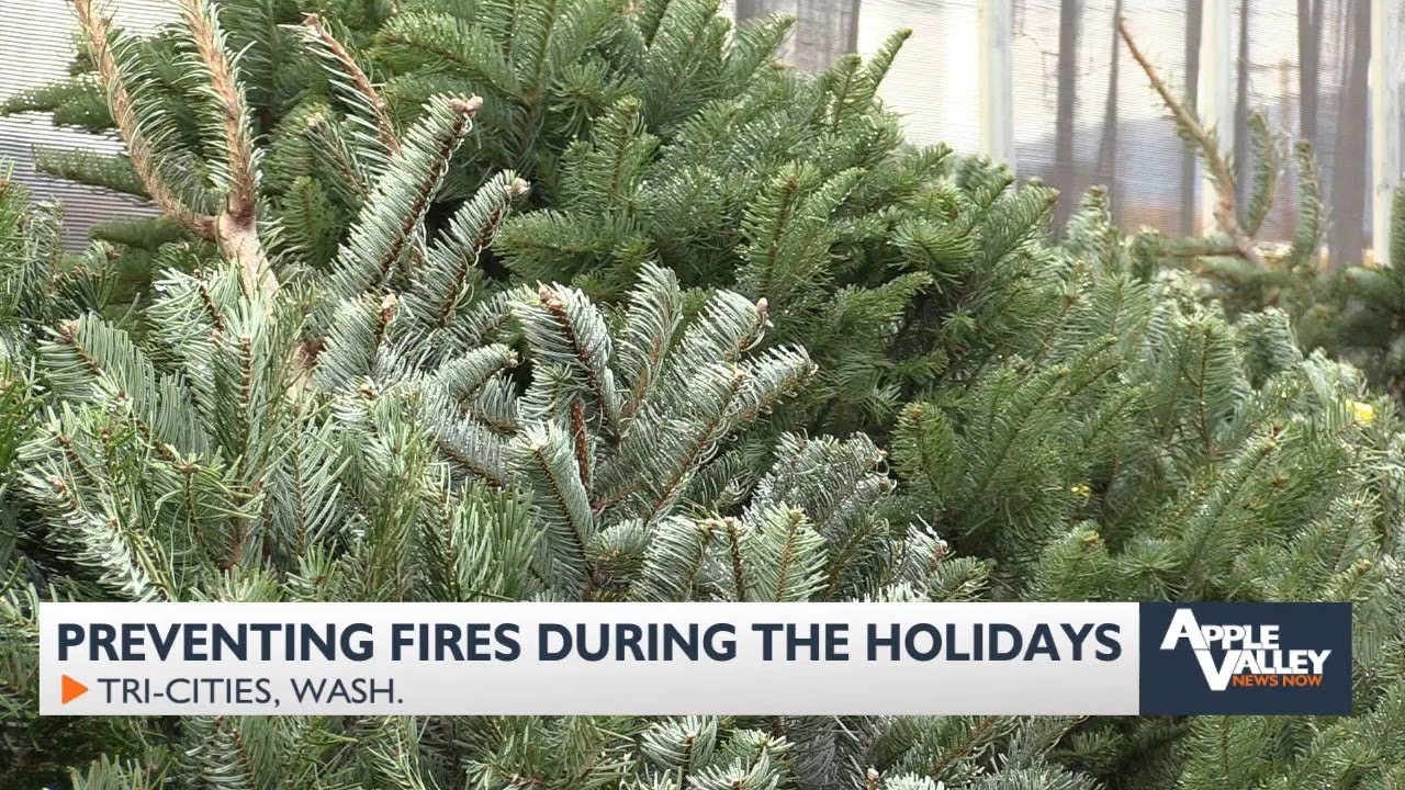 Avoid holiday hazards: Keep your Christmas tree and decorations fire-safe