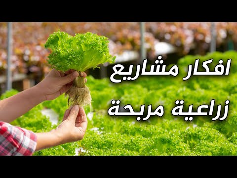 فيديو: كيفية تنظيم مشروع زراعي